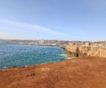 ��� ������� � �������.