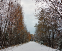 ����� ��� 