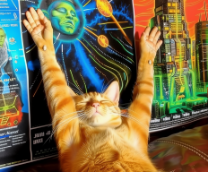 ����� ��� Midjourney (--sref random)