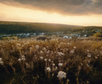 ����� ����