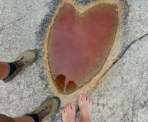 ���� � �������. ������ �������� ��� �����������?