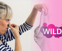  Wildberries