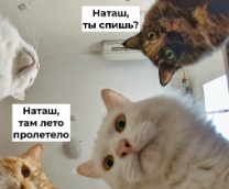 ���������� � 1 ��������