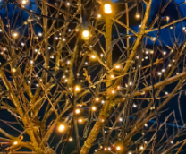 ������� ���� � ����� 