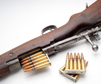 ��������/�����