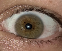 ���� �����