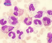 ������������� ������