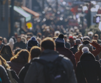 ����������/�������