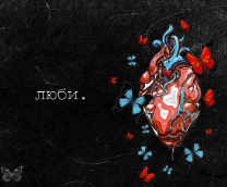 ��������������