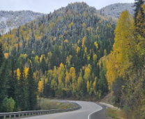 ����������� ���������