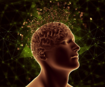 Нейробиология