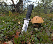 Про ножи.