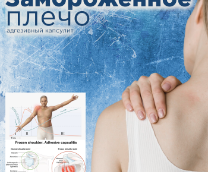 ������������ �����