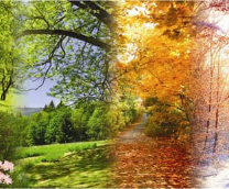 ������� ����