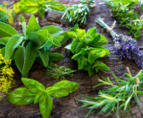 �������� �������