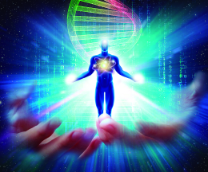 ���� �������