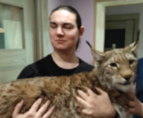 ������� ������� �� ���� � �� ����