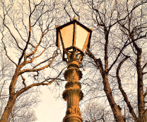 ������ �����-����������