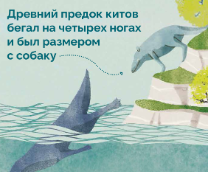 ���� � ��