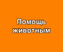 Помощь
