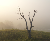 ����� � �������