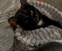 ���-�������, ���������� ������ � ���������  